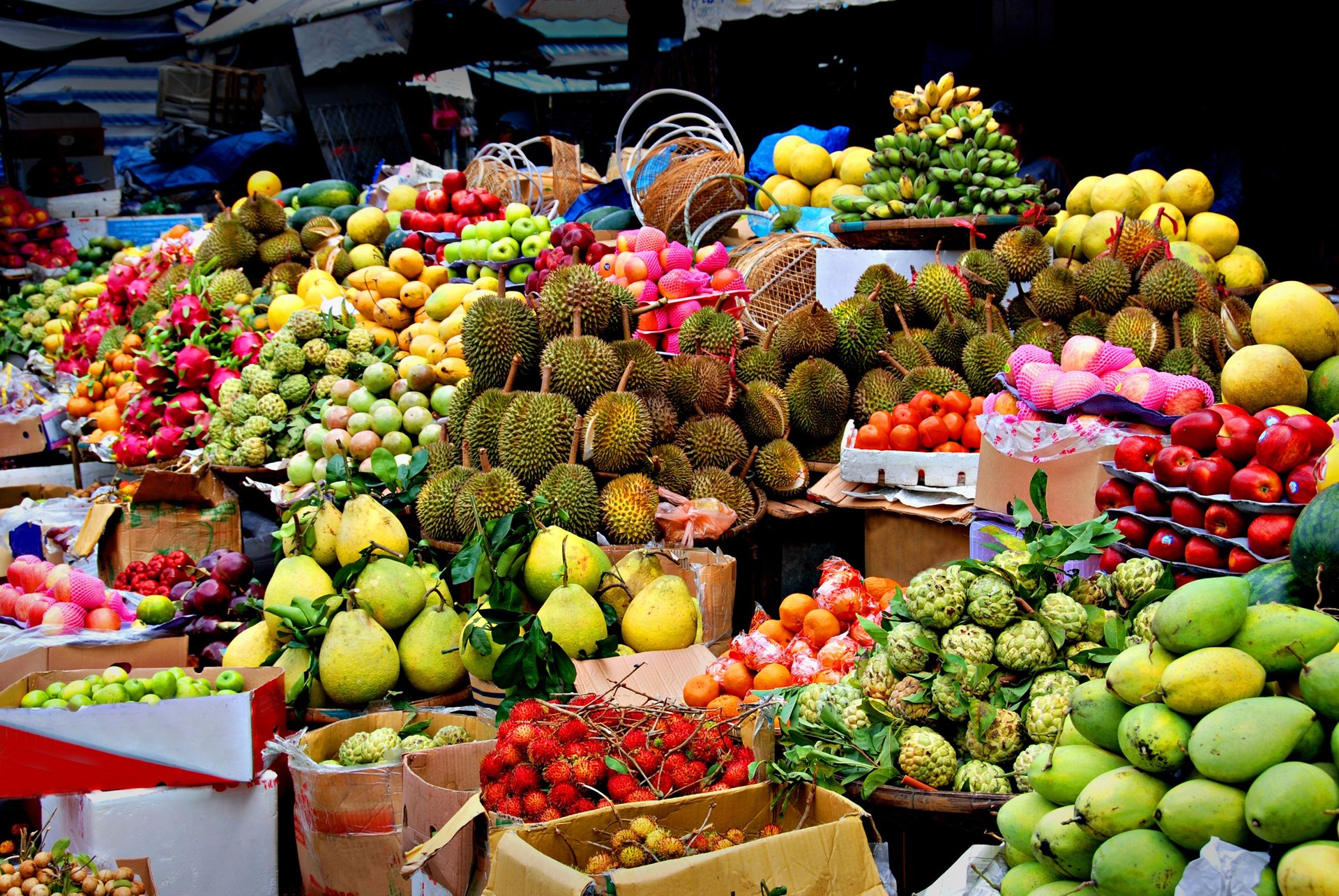 Table and boxes filled with a variety of exotic fruits